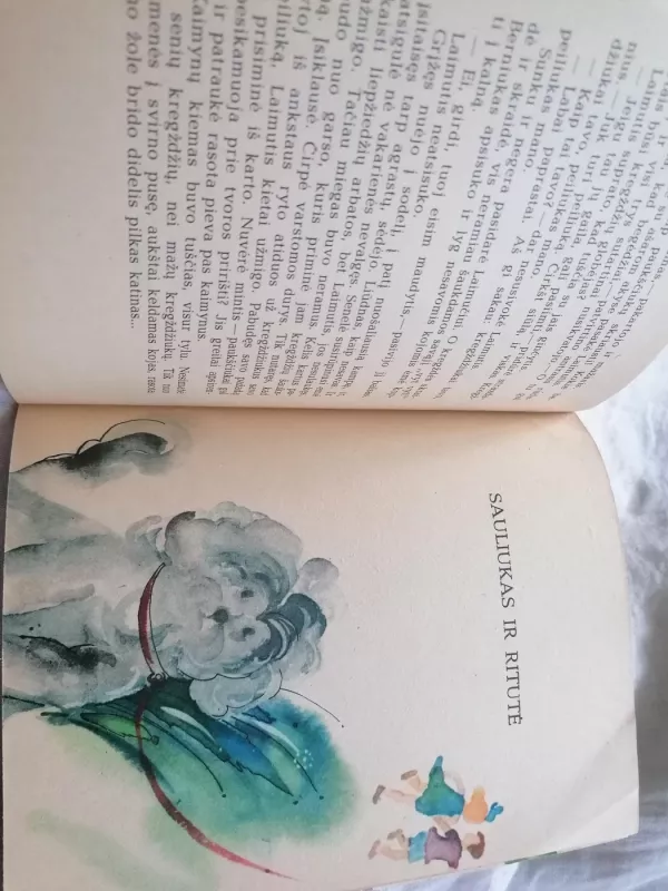 Miško gražuolė - Aleksas Baltrūnas, knyga 6