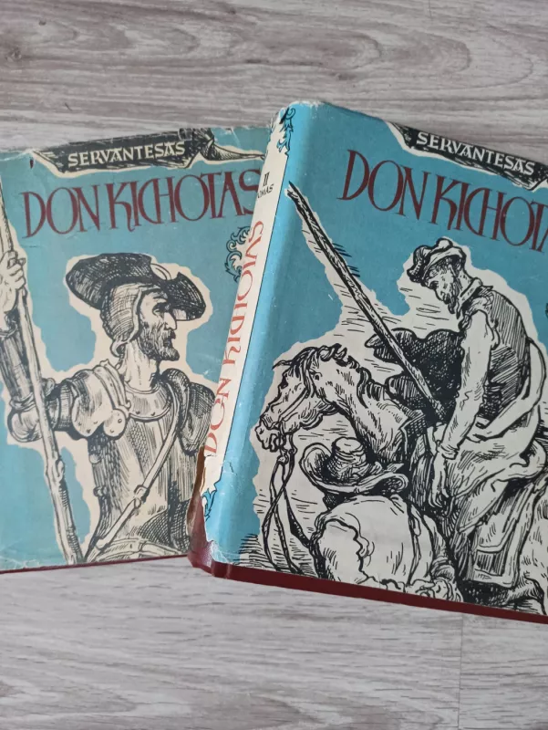 Don Kichotas (I-II dalys) - Migelis de Servatesas, knyga 2