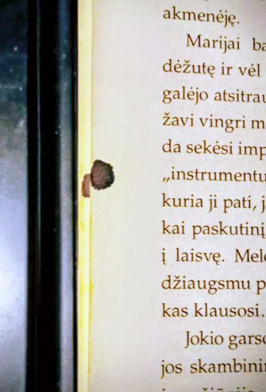 Baltasis Arkliukas - Elizabeth Goudge, knyga 3