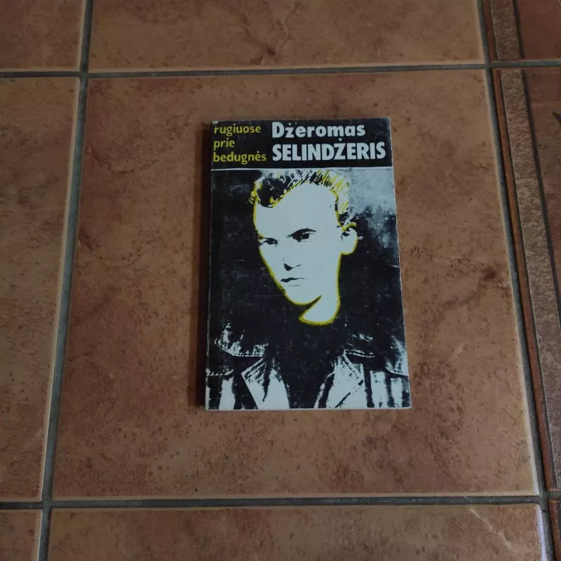 Rugiuose prie bedugnės - Džeromas Selindžeris, knyga 2