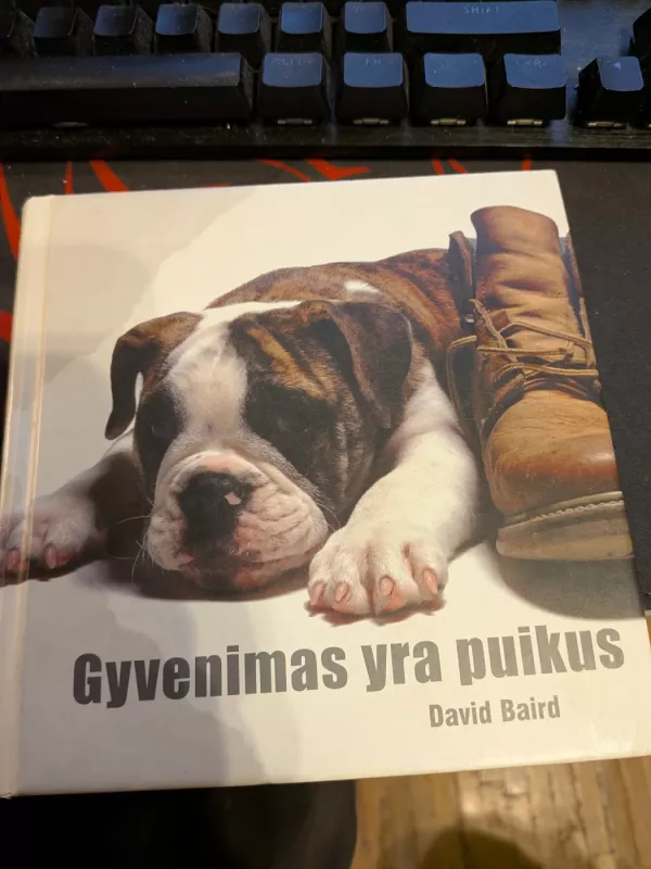 Gyvenimas yra puikus - David Baird, knyga 2