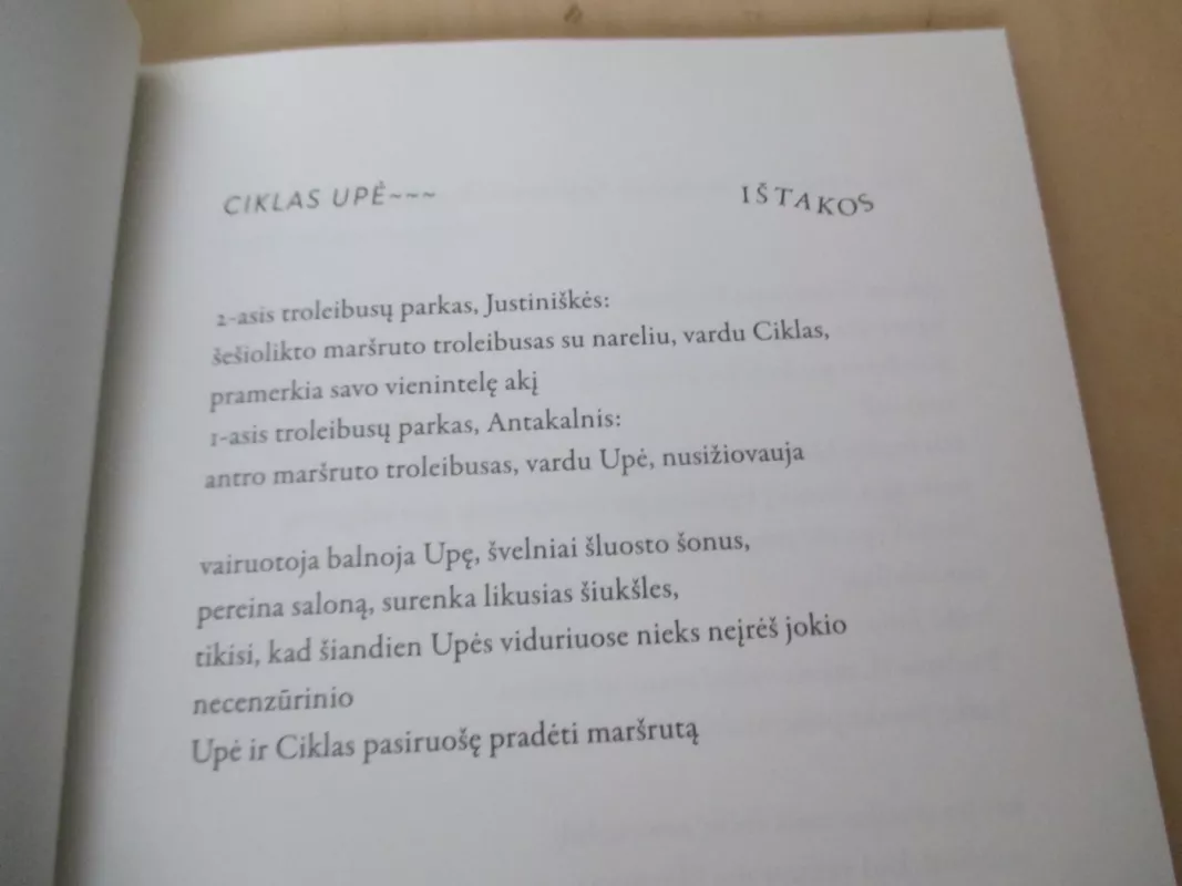 Tuščių butelių draugija - Ramūnė Brundzaitė, knyga 5