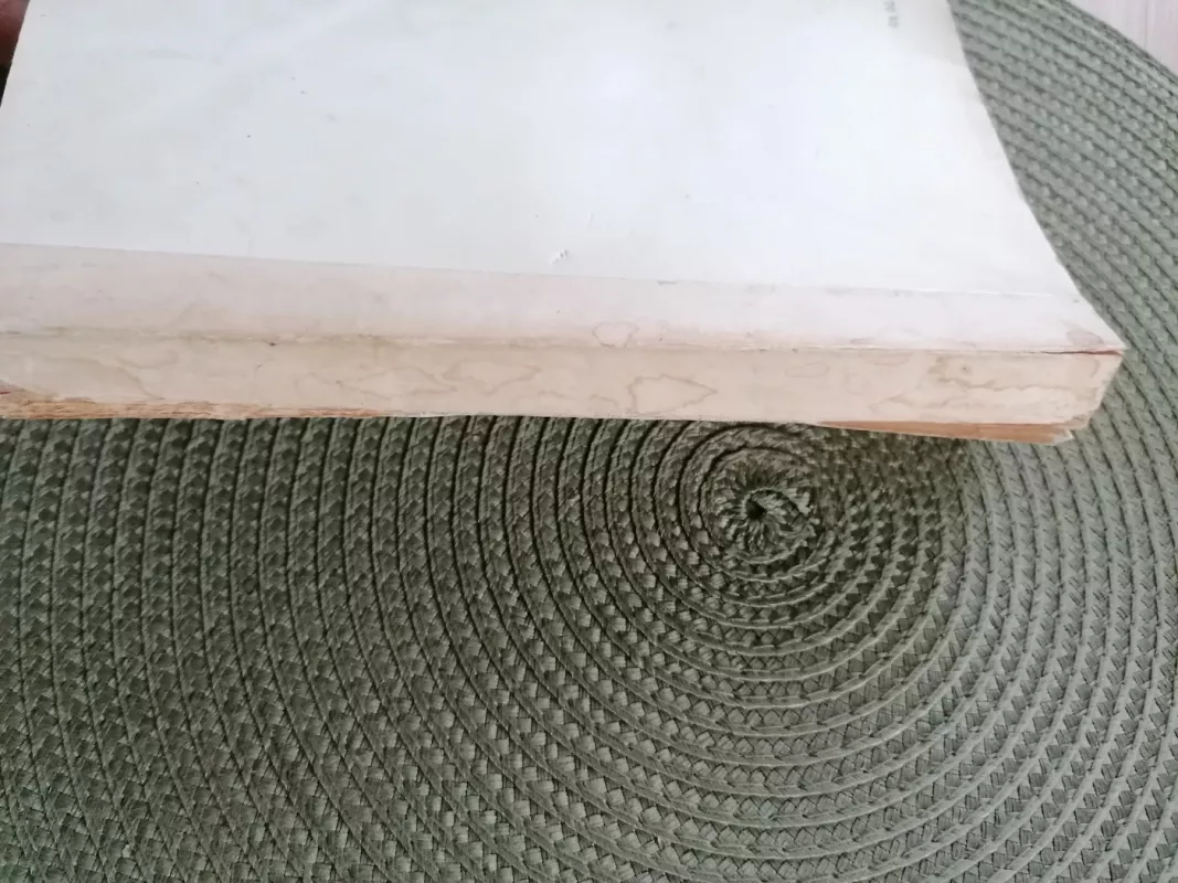 Širdies nerimas - Stefan Zweig, knyga 6