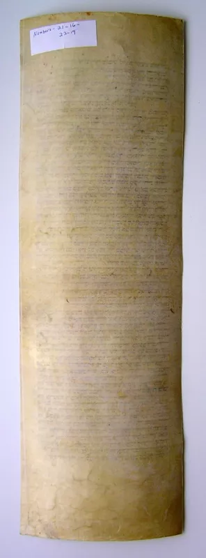 Antikvarinis Toros rankraščio fragmentas - Nenurodyta, knyga 6