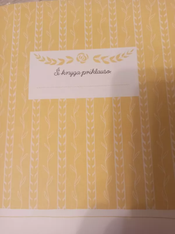 Trolis Mumis ir paskutinis slibinas - Tuve Jansson, knyga 3