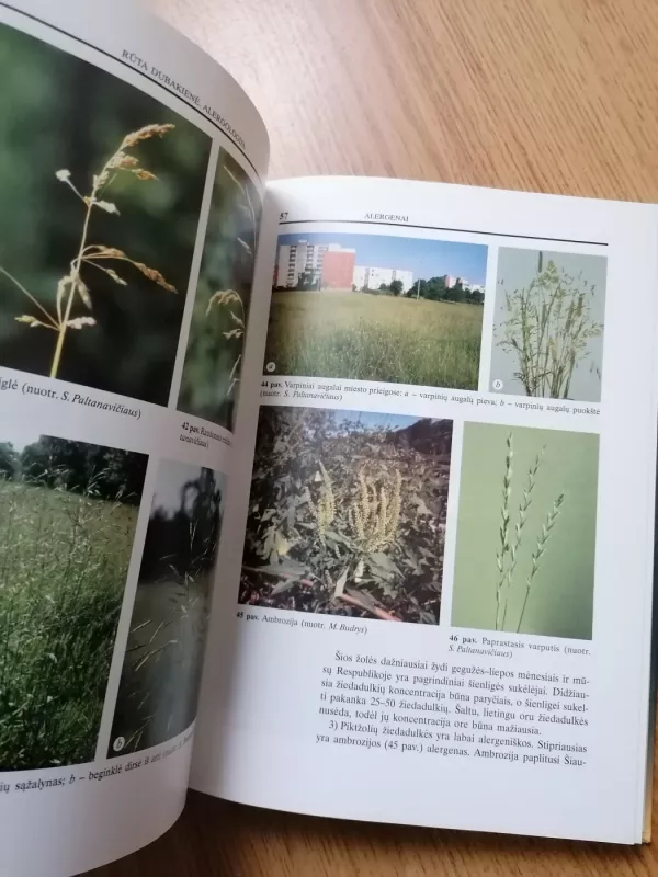 Alergologija (Pagrindai) - Rūta Dubakienė, knyga 4