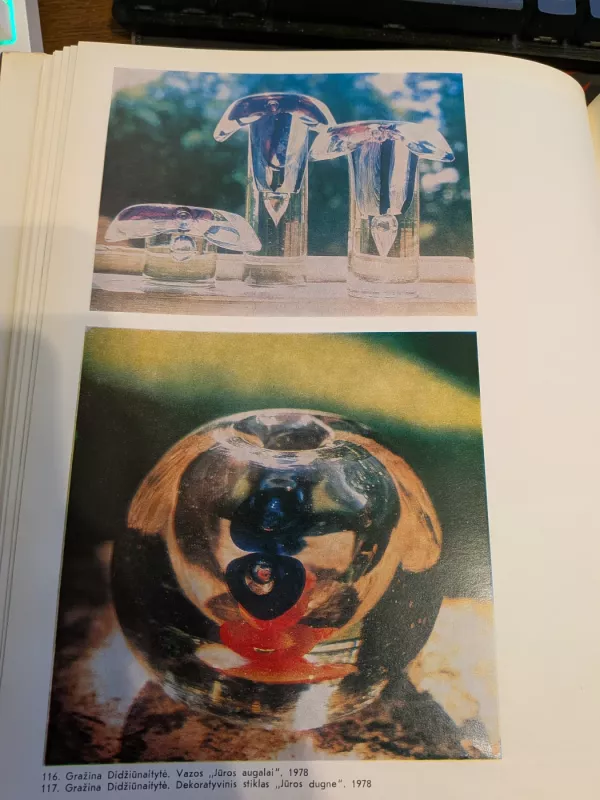 Taikomoji dekoratyvinė dailė - Laimutė Cieškaitė-Brėdikienė, knyga 4