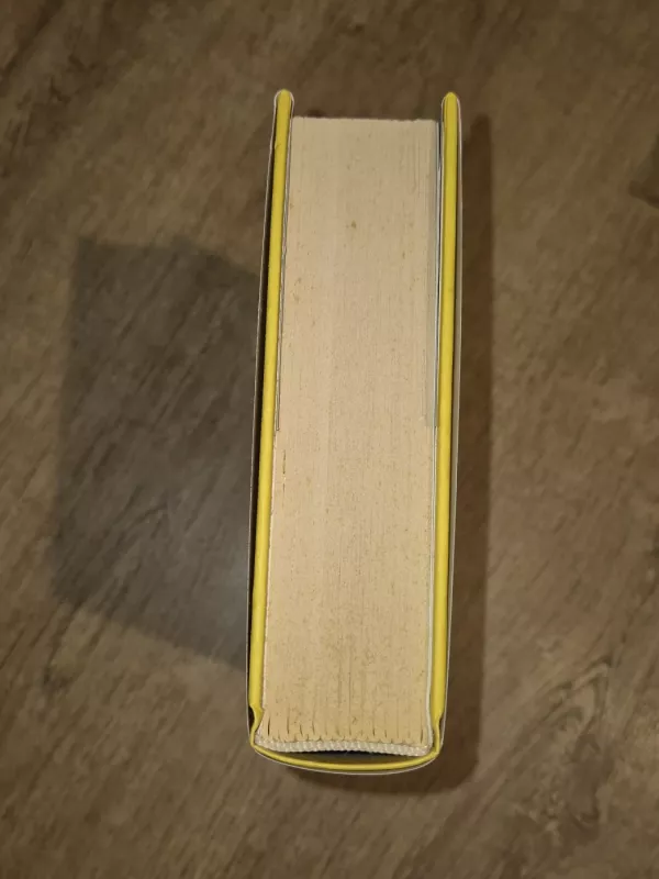 Oneiron - Laura Lindstedt, knyga 6