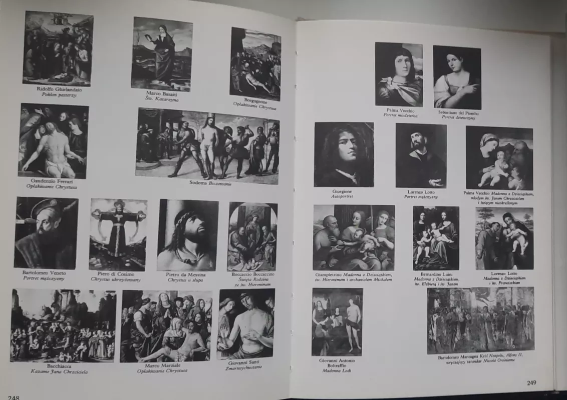 Tapyba Budapešto meno muziejuje - Klara Garas, knyga 3