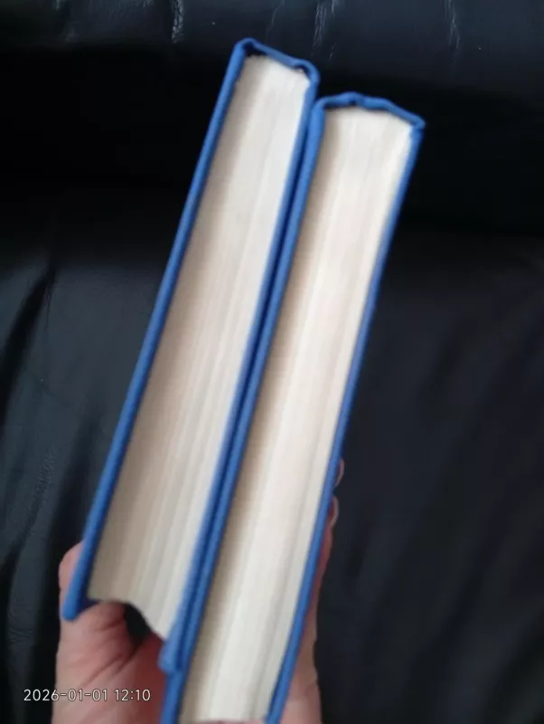 Idiotas - Fiodoras Dostojevskis, knyga 3