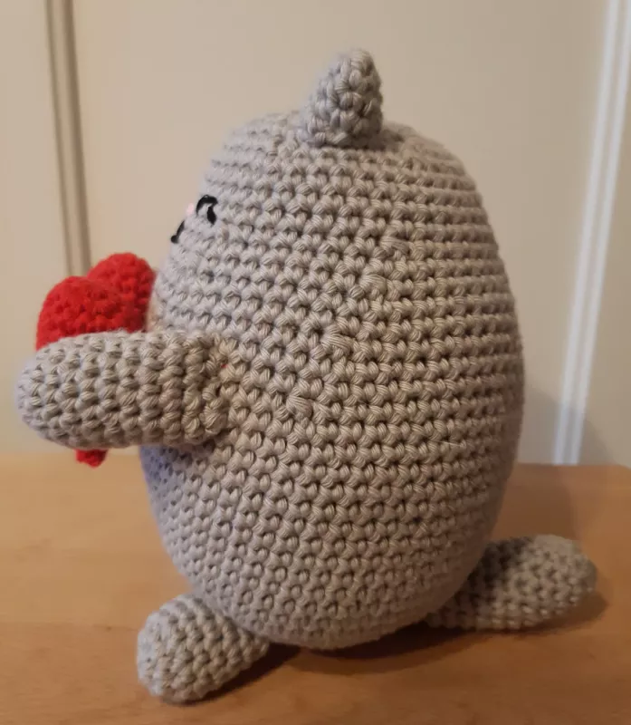 Storas meilės katinas - , namai ir interjeras 3