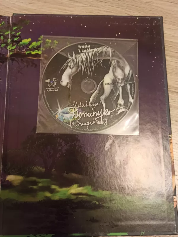 Stebuklingas Dominyko brangakmenis - Vytautas Landsbergis, knyga 3