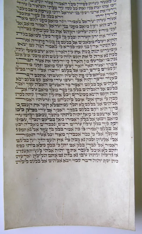 Antikvarinis Toros rankraščio fragmentas - Nenurodyta, knyga 4