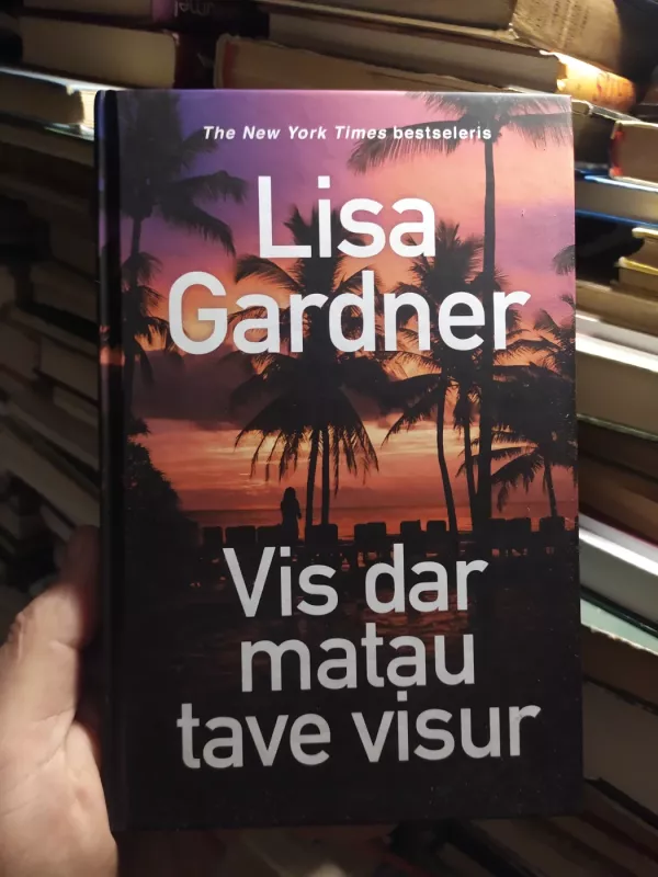 Vis dar matau tave visur - Lisa Gardner, knyga 2