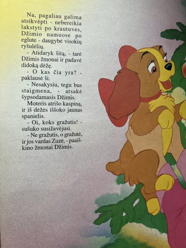 Dama ir valkata - Walt Disney, knyga 6