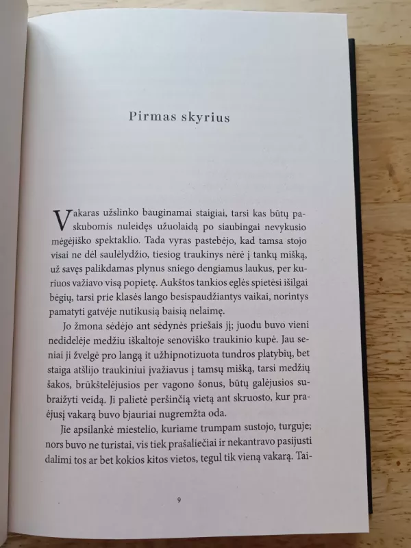 Kai ateina naktis - Peter Cameron, knyga 4