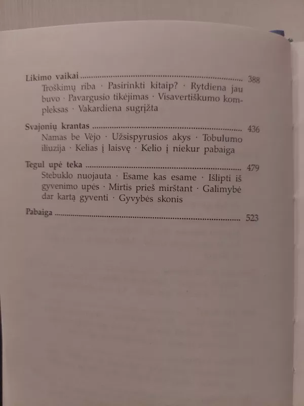 Apie likimo upę ir Vėją - Vytas Sabaliauskas, knyga 4