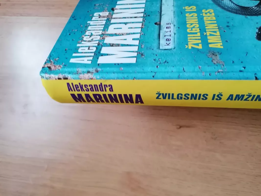 Žvilgsnis iš amžinybės. Kelias - Aleksandra Marinina, knyga 3