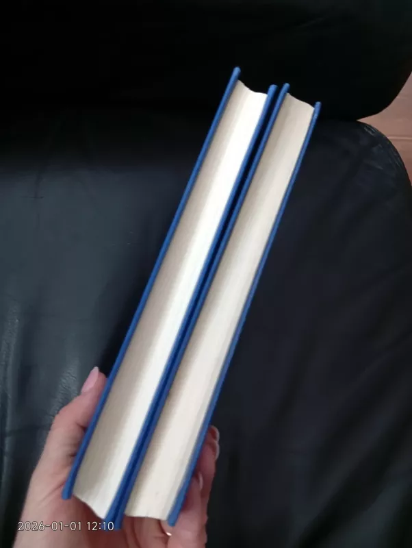 Idiotas - Fiodoras Dostojevskis, knyga 6