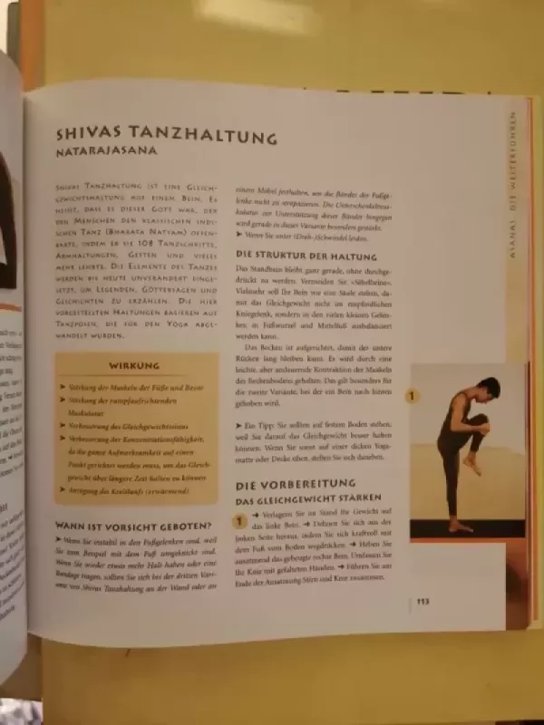 Das grosse Yogabuch - Anna Trökes, knyga 6