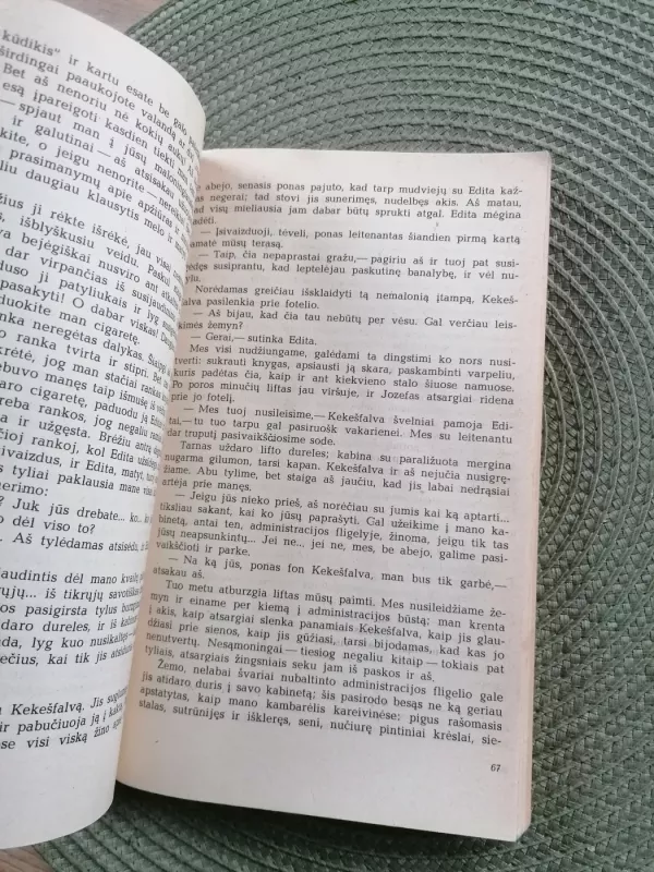 Širdies nerimas - Stefan Zweig, knyga 5