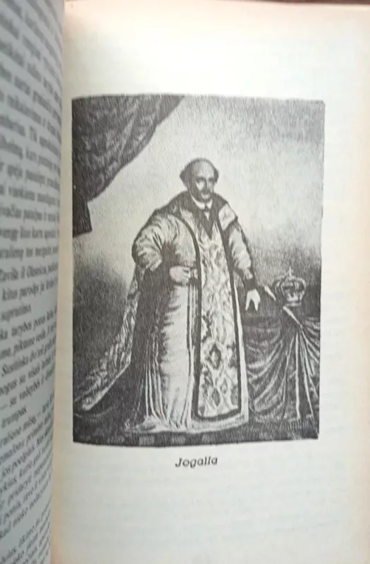 Magnus Dux - Kazys Puida, knyga 6