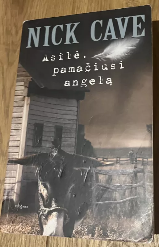 Asilė, pamačiusi angelą - Nick Cave, knyga 3
