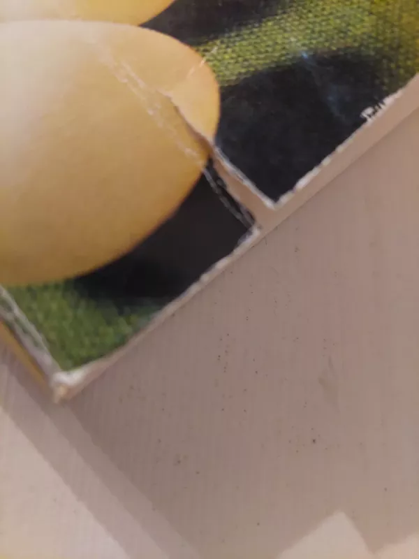 Kiaušinių patiekalai - Irena Plaušinaitytė, knyga 4