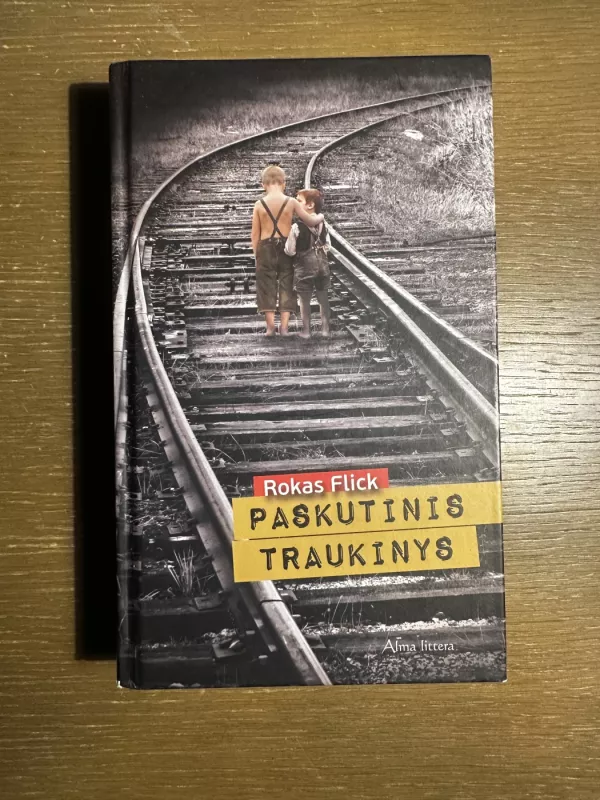 Paskutinis traukinys - Rokas Flick, knyga 2