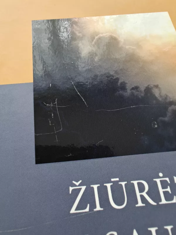 Žiūrėti į saulę. Kaip įveikti mirties baimę - Irvin D. Yalom, knyga 3