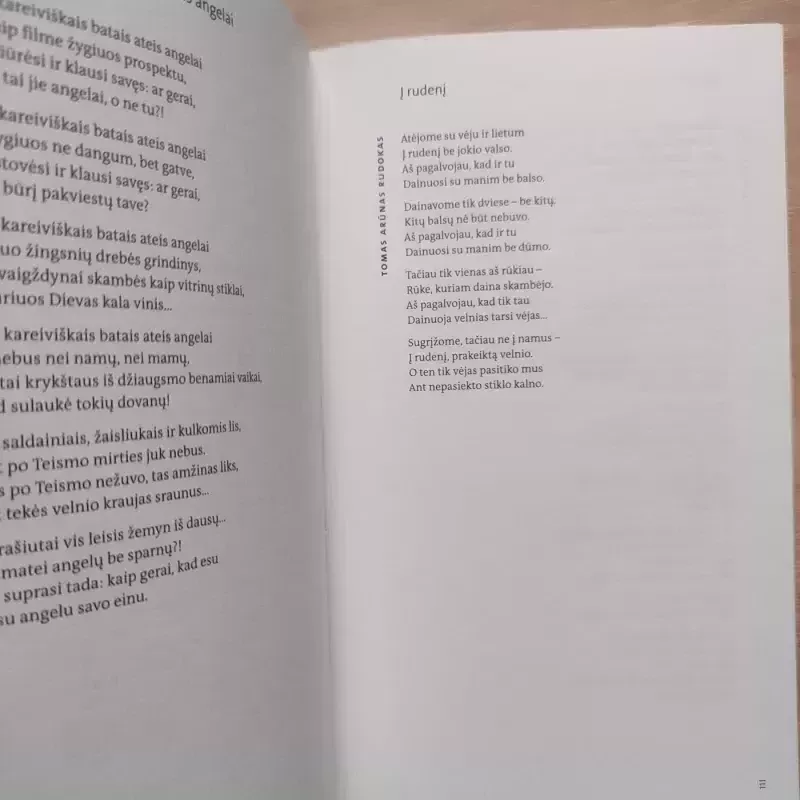 Poezijos pavasaris 2013 (su CD) - pavasaris Poezijos, knyga 6