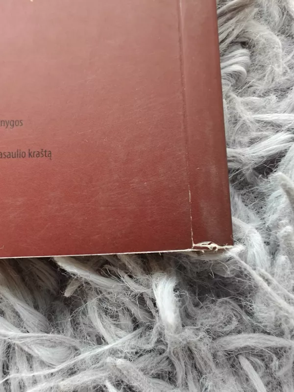 Paslaptingi Petros lobiai - Sabina Šaltinska, knyga 3