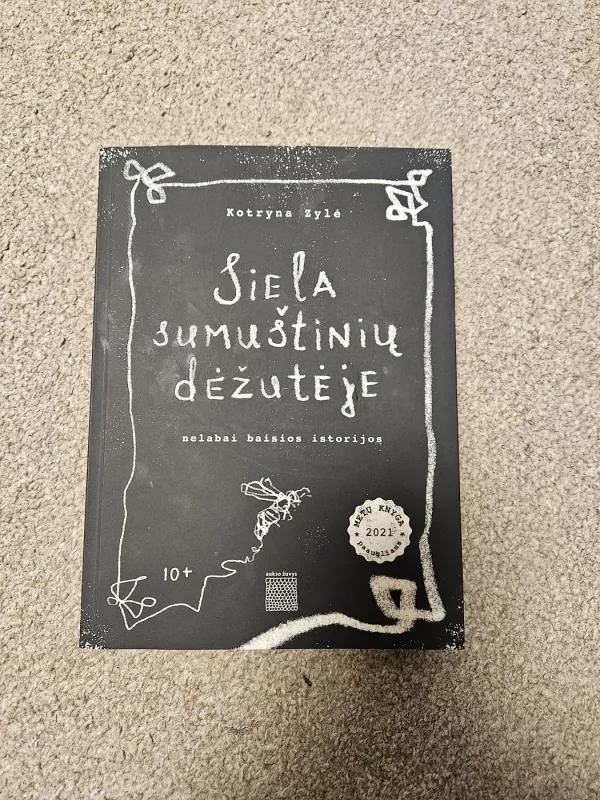 Siela sumuštinių dėžutėje - Kotryna Zylė, knyga 2