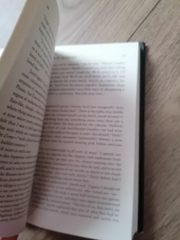 American innovations - Rivka Galchen, knyga 5