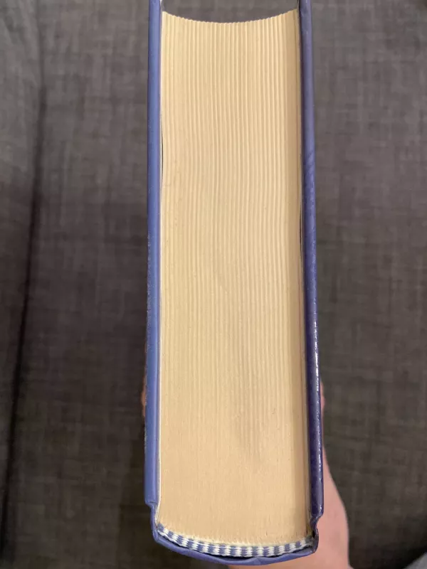 Kapitono Hatero nuotykiai - Z.Vernas, knyga 4