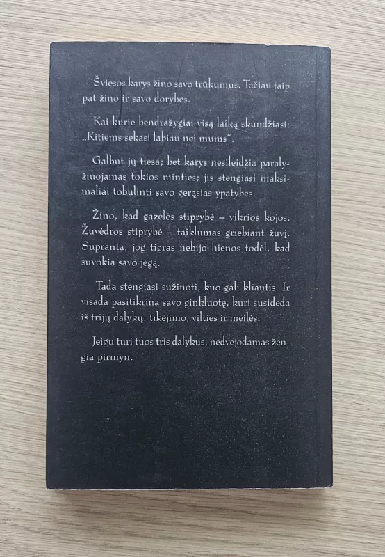 Šviesos kario vadovas - Paulo Coelho, knyga 2