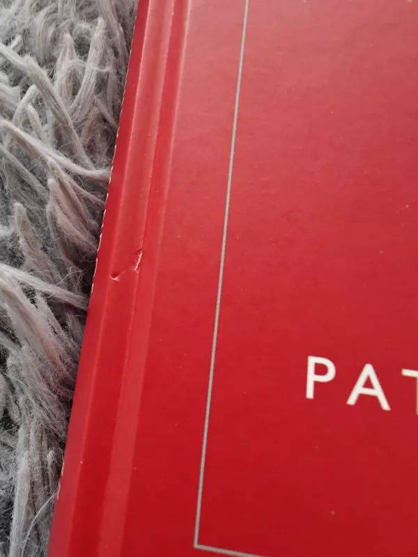 Svajonių komandos kūrimas: penkios komandos silpnybės ir būdai, kaip tai įveikti - Patrick Lencioni, knyga 4