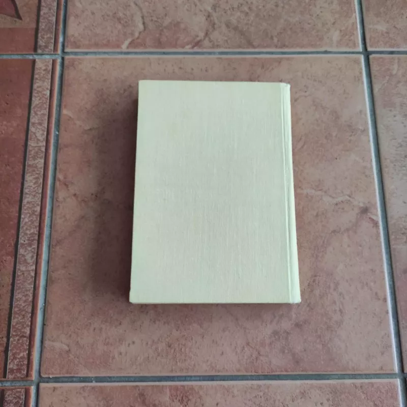 Ieva Simonaitytė. Raštai II tomas - Ieva Simonaitytė, knyga 4