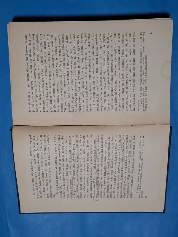 Baltosios naktys - Fiodoras Dostojevskis, knyga 6