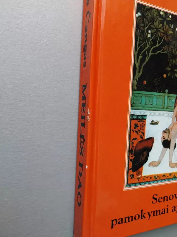 Meilės Dao - Džolanas Čangas, knyga 2