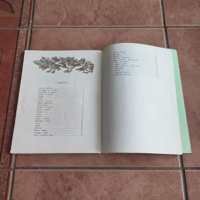 Kiškis vagilis - Pranas Mašiotas, knyga 4