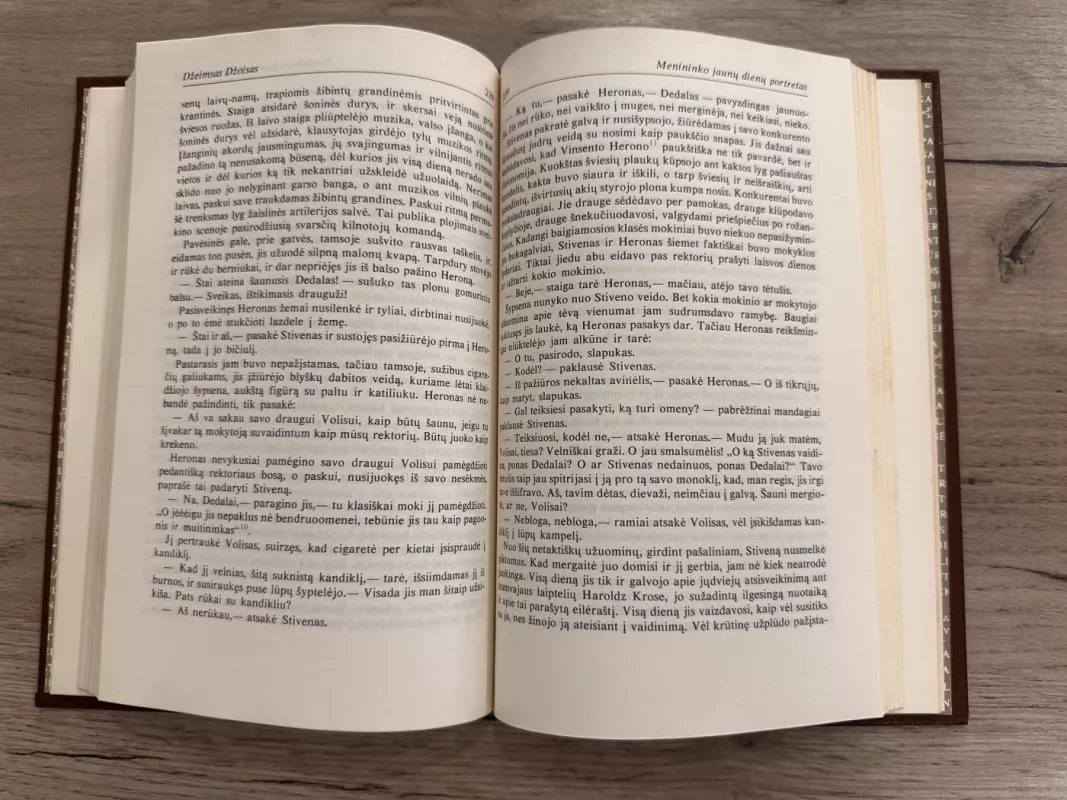 Doriano Grėjaus Portretas,  Menininko jaunų dienų portretas - Oskaras Vaildas, Džeimsas Džoisas, knyga 5