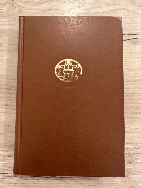 Mažasis Lordas. Tamsieji šaltiniai - Johan Borgen, knyga 2