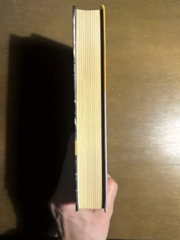 Paskutinis traukinys - Rokas Flick, knyga 3