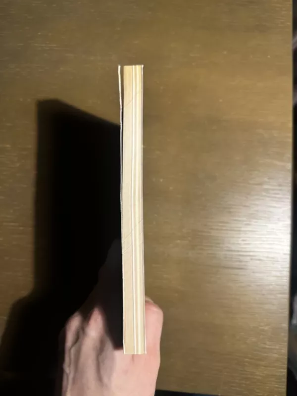 Lietuviai Vermachte - Antanas Martinionis, knyga 5