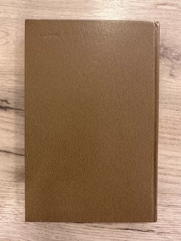 Absalomai, Absalomai! - Viljamas Folkneris, knyga 6