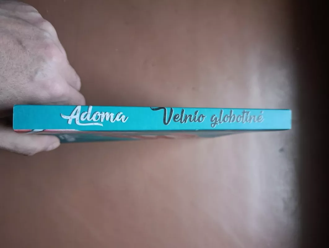 Velnio globotinė - Rita Adomaitienė, knyga 3