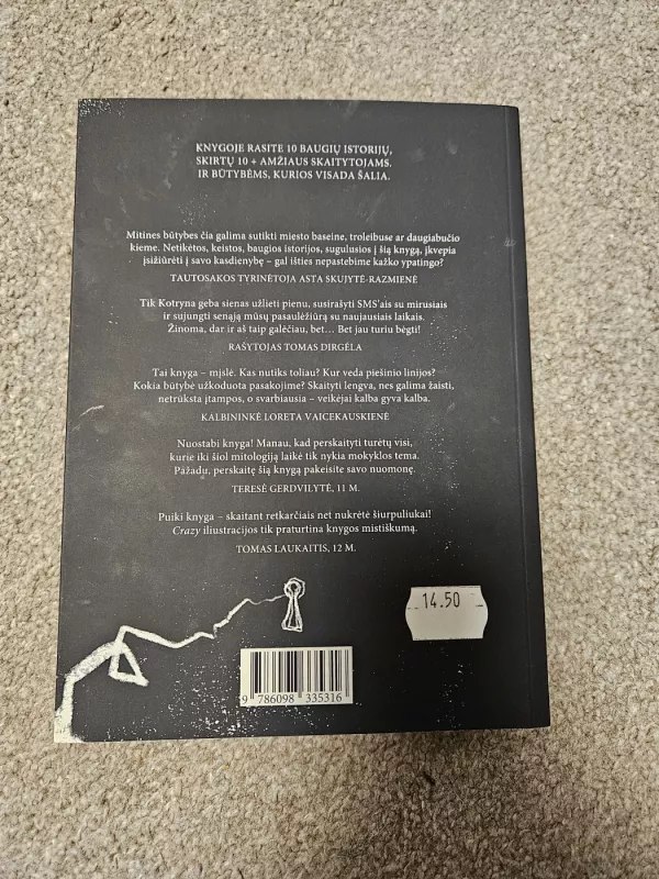 Siela sumuštinių dėžutėje - Kotryna Zylė, knyga 3