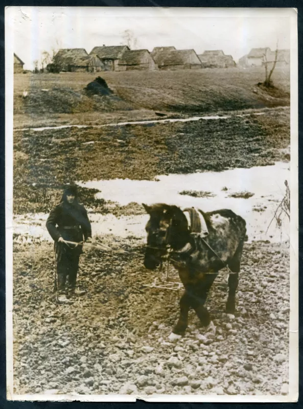Originali Antrojo pasaulinio karo vokiečių Press Photo nuotrauka 1942-05-19 - , namai ir interjeras 2