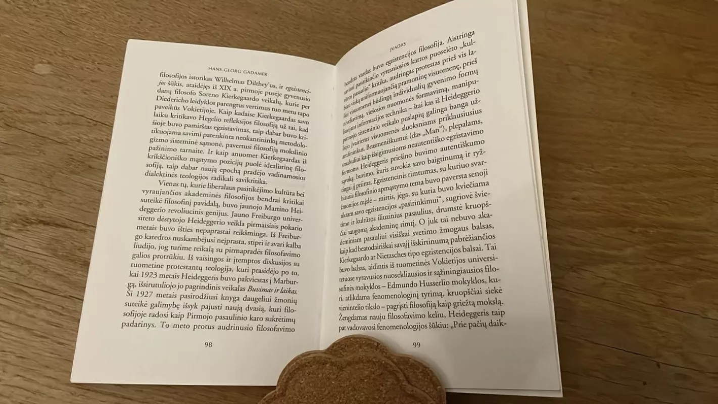 Meno kūrinio ištaka - M. Heideger, H.  Gadamer, knyga 3